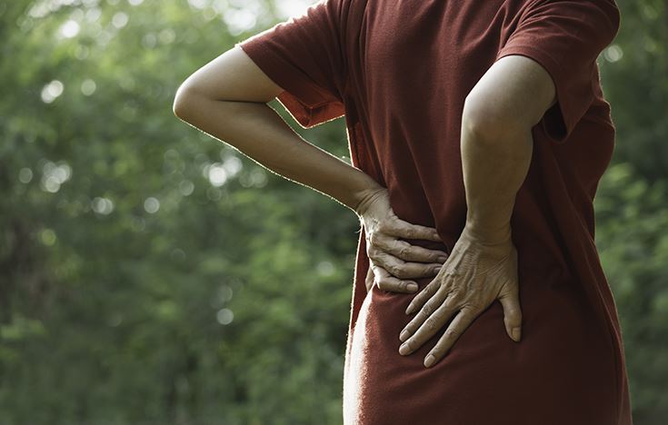 Getting to the Root of Back Pain
